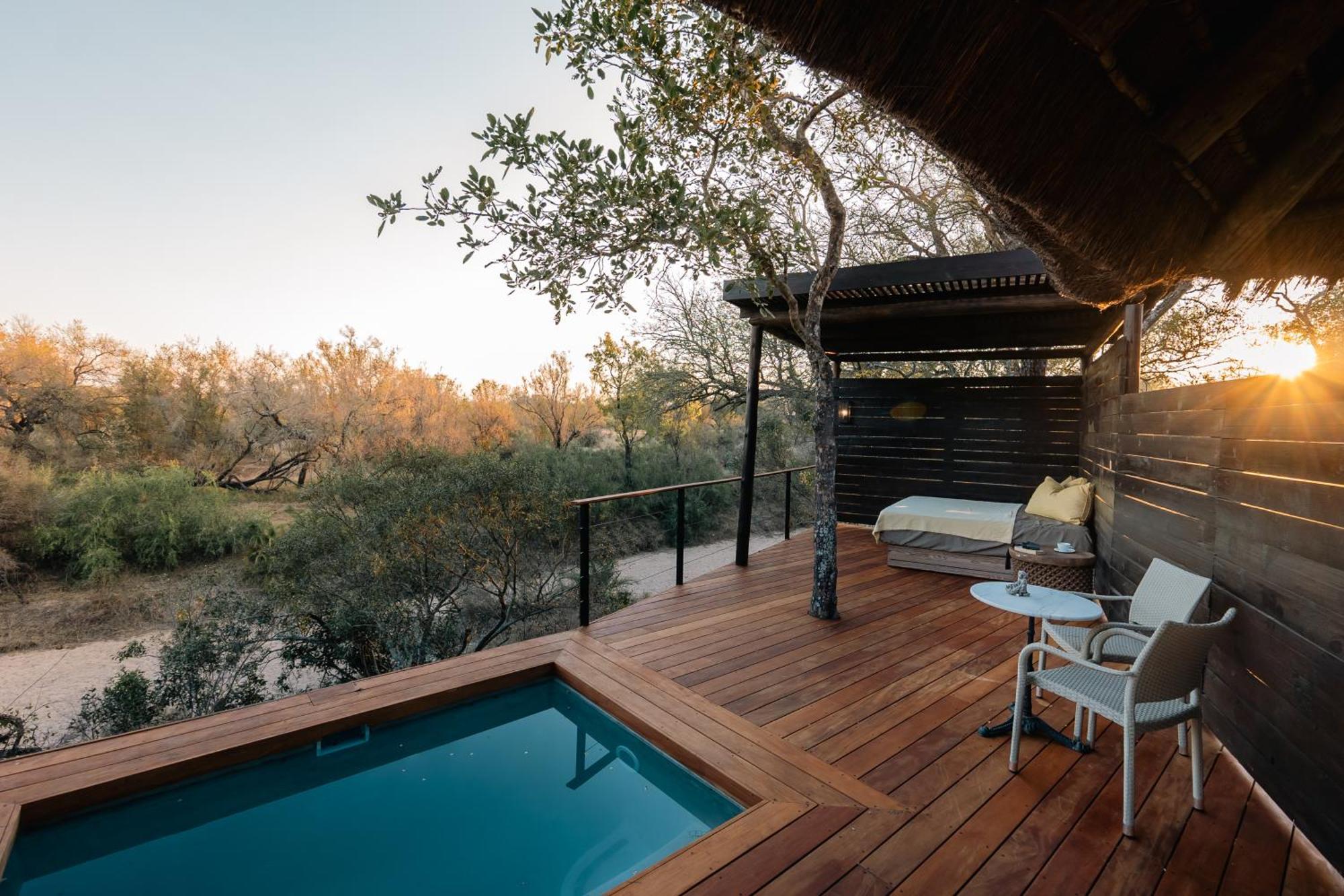 Thornybush Simbambili Lodge Khu bảo tồn Sabi Sand Ngoại thất bức ảnh