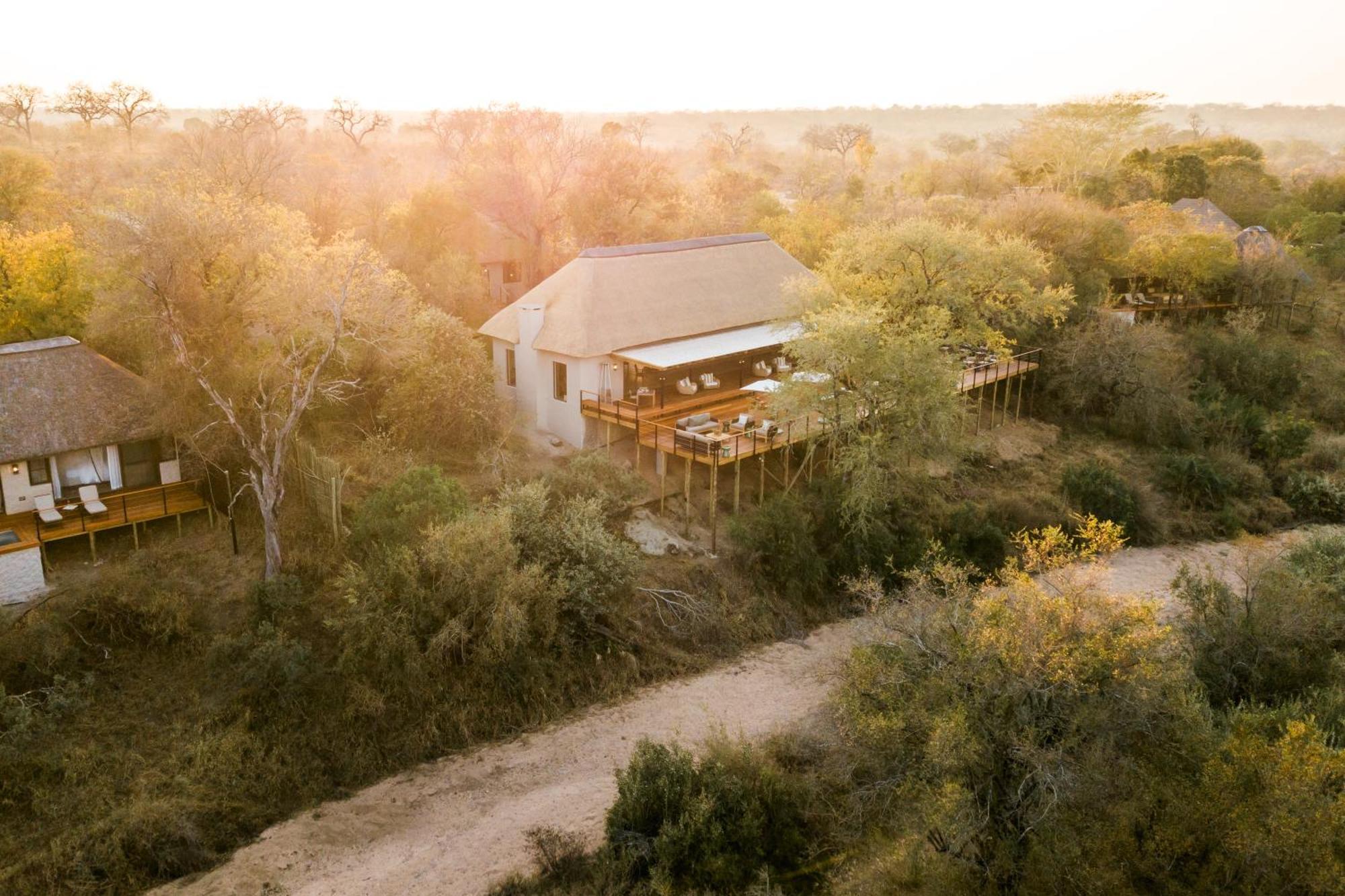 Thornybush Simbambili Lodge Khu bảo tồn Sabi Sand Ngoại thất bức ảnh